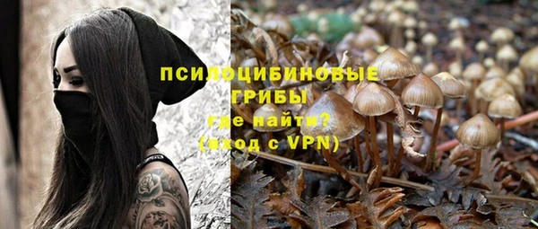МДМА Горнозаводск