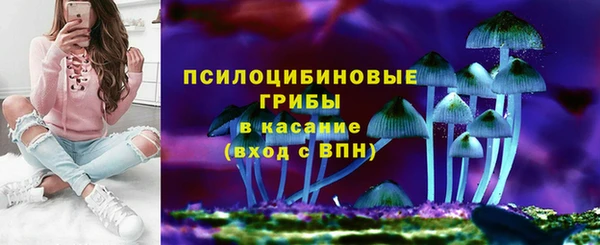 МДМА Горнозаводск