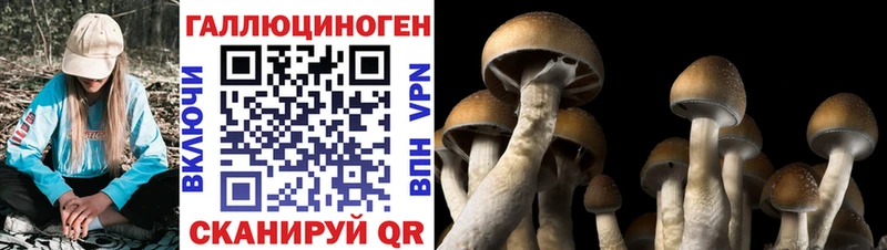 Галлюциногенные грибы Cubensis  Мурманск 